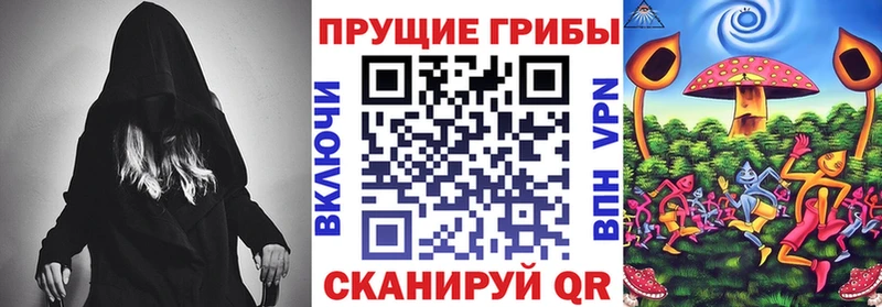 omg маркетплейс  Кукмор  Псилоцибиновые грибы Cubensis 